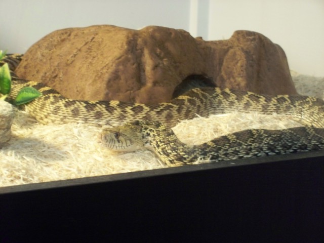 Alice drying out after her shed